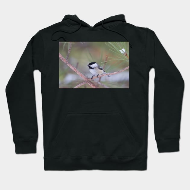 Algonquin Chickadee Hoodie by Jim Cumming